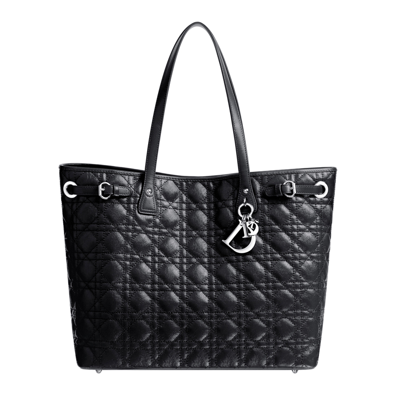 Bag M1017PPCD M900 Dior Panarea